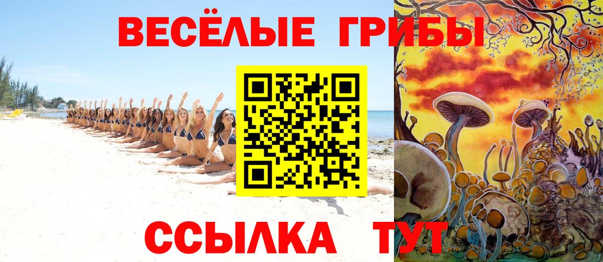 Псилоцибиновые грибы мицелий Скопин
