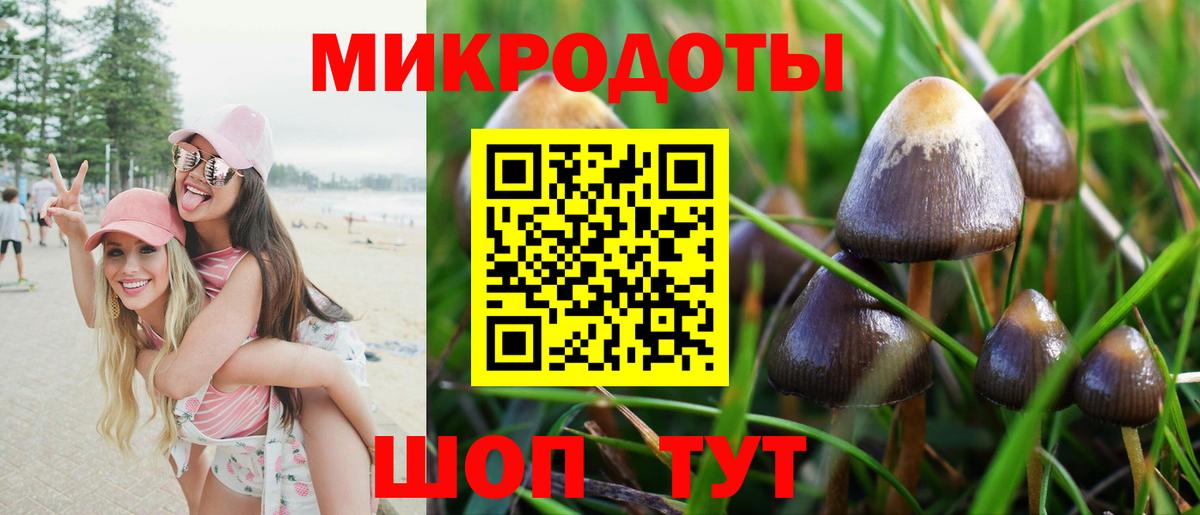 Псилоцибиновые грибы Cubensis  Псилоцибиновые грибы ЛСД  продажа наркотиков  Вход с VPN  Скопин 
